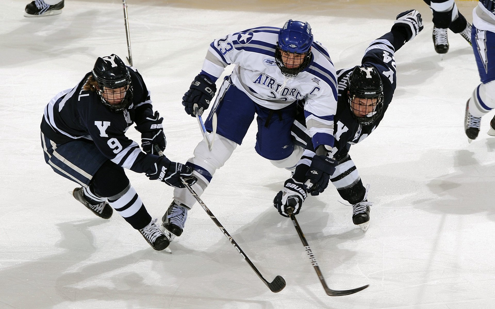裁判培训班启动，提升职业判罚水平，裁判培训方案